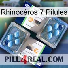 Rhinocéros 7 Pilules viagra5